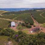 Fazenda Chapadao Ariel View