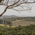 Fazenda Santa Cruz