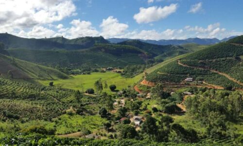 São Paulo Coffee Region